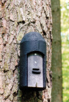 Bat Box 1FD (with triple front panel)