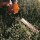Tosasiepi Stihl HS 45 - 45cm