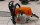 Motorsäge Stihl MS 462 C-M - Gebraucht -