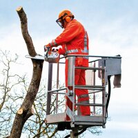 Motosega Stihl MS 201 TC-M  30cm