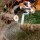 Motosega Stihl MS 201 TC-M  30cm