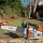 Motosega Stihl MS 201 TC-M  30cm