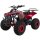 Quad elettrico per bambini S-10