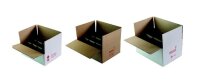 Kartonbox