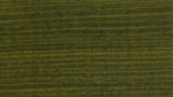 Beutenschutz-Farbe Tannengrün 0,75l