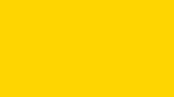 Colore protezione alveare giallo brillante 2,5l